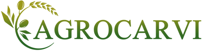 Agrocarvi